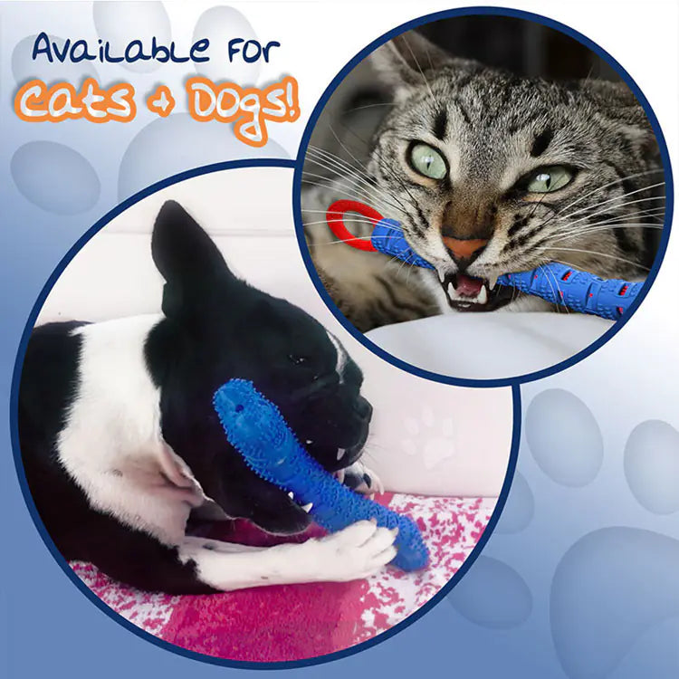 Pet Tooth Cleaning Rubber Chew Toy for Cats and Dogs