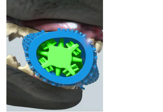 Pet Tooth Cleaning Rubber Chew Toy for Cats and Dogs